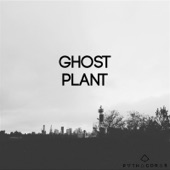 High Math - Ghost Plant