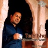 Tera Ishq - Single