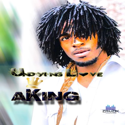 Undying Love - Single