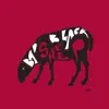 Bad Black Sheep - Radio Varsavia