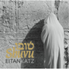 Shuvu - Eitan Katz