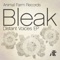 Synonym (Deepbass Remix) - Bleak lyrics