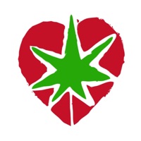 Ladyfriends (A Stoner Love Album) - Netherfriends