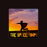 The SpacePimps