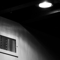 Coiled Corner (feat. Bijou) - Single - Feverkin