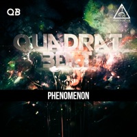 Phenomenon - Single - Quadrat Beat