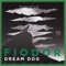 Personal Music (The Aikiu Remix) - Fiodor Dream Dog lyrics