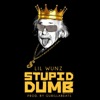 Stupid Dumb - Single