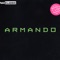 100% of Disin' U - Armando lyrics