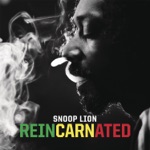 Snoop Lion - No Guns Allowed (feat. Cori B & Drake)