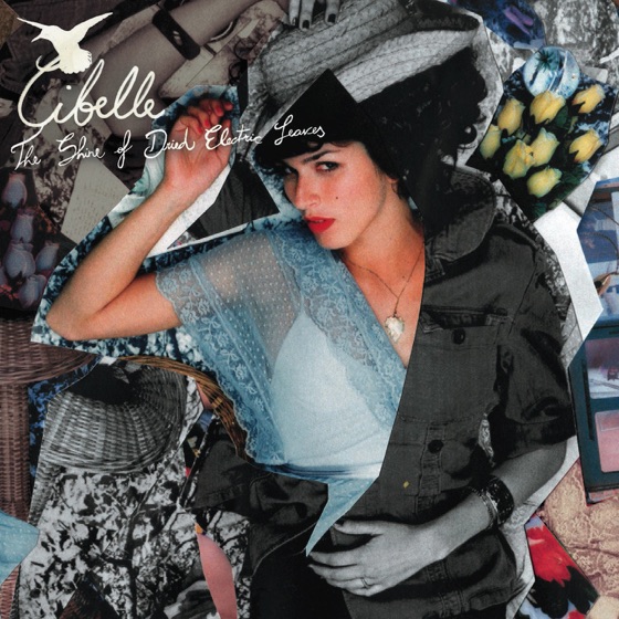 Cover artwork for Phoenix