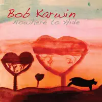 Six - String Diary — Bob Karwin