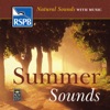 Summer Sounds