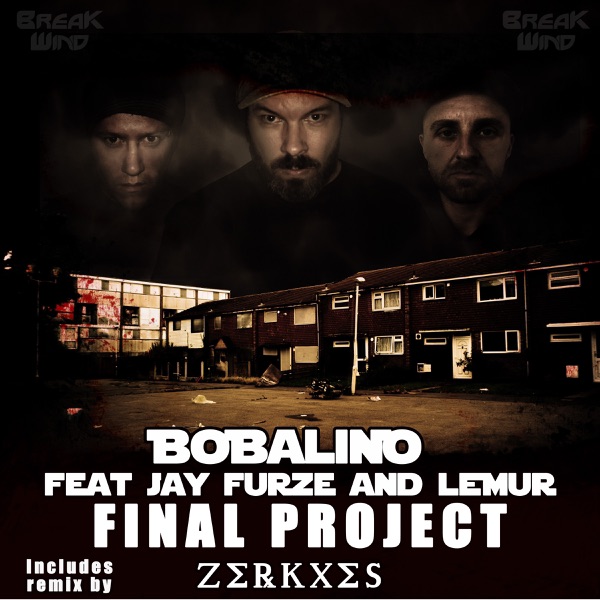 Final Project (feat. Jay Furze & Lemur) - EP