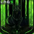 Sektor 7