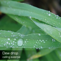 Calling Euterpe - Dew Drop
