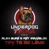 Try to Be Love - Single - Alex Burn & Ant Reynolds