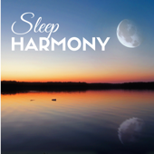 Sleep Harmony - Sleepy Instrumental Songs to Help You Relax and Fall Asleep Faster, Soothing Bedtime Music for Adults - Soothing Music for Sleep Academy