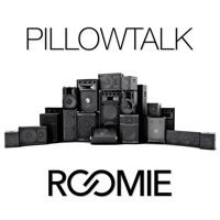 Pillowtalk - Single - Roomie