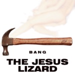 The Jesus Lizard - Fly On the Wall