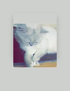 Listen to 365고양이, watch music videos, read bio, see tour dates & more!