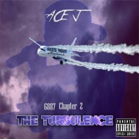 6887 Chapter 2 (The Turbulence) - Ace J