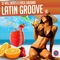 Latin Groove - DJ Will Beats & Erick Gaudino lyrics