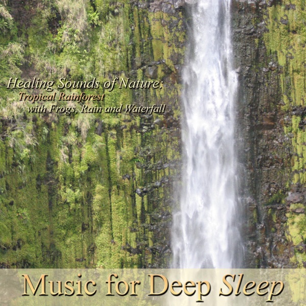 True Rest: Guided Meditations and Yoga Nidra Relaxation (feat. Dr. Siddharth Ashvin Shah)