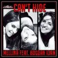 Can't Hide [Radio Edit]