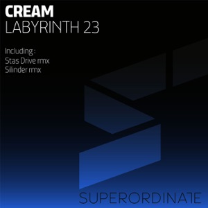 Labyrinth 23 - Single