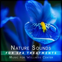Nature Sounds for Spa Treatments: Music for Wellness Center, Soothing Ambient Therapy for Relaxation & Massage - Spa Music Consort