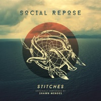 Stitches (A Cappella Cover) - Single - Social Repose