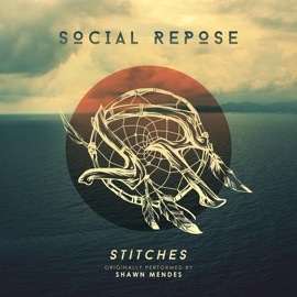 Stitches (A Cappella Cover) Social Repose