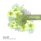 El Viajero (Sebastian Darez Remix) - Gallego lyrics