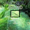 Natural Sound Flute and Nature - Paranyo