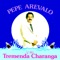 Caballo Viejo - Pepe Arevalo lyrics