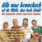 Alls was bruuchsch uf dr Wält, das isch Liebi artwork