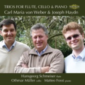 Piano Trio in G Major, Hob.XV:15: I. Allegro artwork