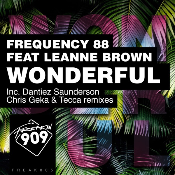 Wonderful (feat. Leanne Brown) - Single