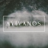 Avívanos - Single