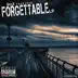 Forgettable Lp (feat. Big Tim, Gjd, Skillz & Noek Reklaw) album cover