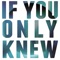 If You Only Knew - Caught a Ghost lyrics