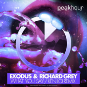 What You Say (Ken Loi Remix) - Exodus & Richard Grey