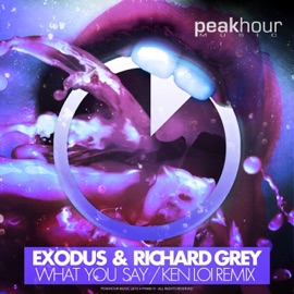 What You Say (Ken Loi Remix) Exodus & Richard Grey