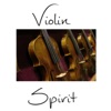 Jan Talich Sinfonia concertante for Violin, Viola and Orchestra in E-Flat Major, K. 364: I. Allegro maestoso Violin Spirit