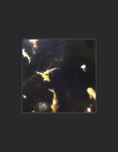 Dengarkan Black, tonton video musik, baca bio, lihat tanggal tur & lainnya!