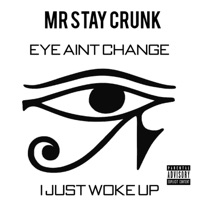 The Surface - Single - Mr Stay Crunk