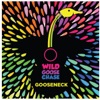 Wild Goose Chase - EP artwork