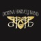 Islander - Derina Harvey Band lyrics