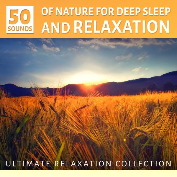 Sounds of Nature for Deep Sleep and Relaxation: Ultimate Instrumental Music Collection, Ocean Waves, Sound of the Forest Ambience and Birds - Yoga Meditation